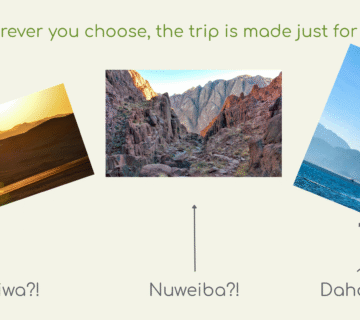 Guests can enjoying customized trip planning in Egypt with The Gate Tours